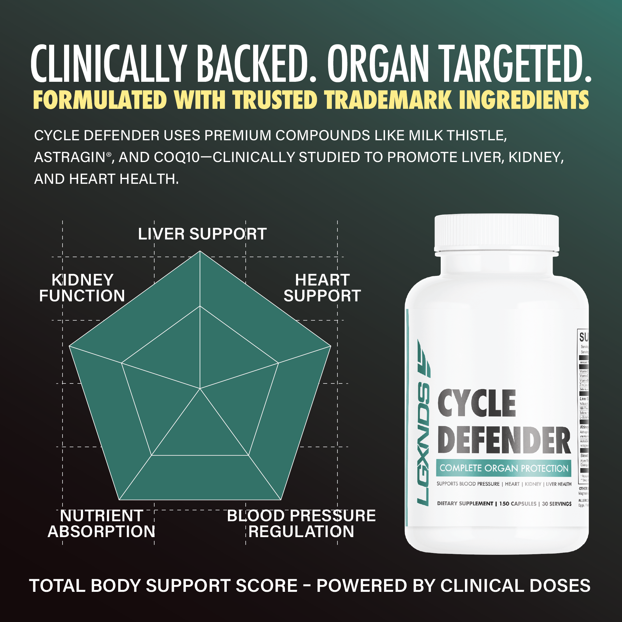 Cycle Defender supplement bottle with organ support chart, highlighting liver, kidney, heart health, nutrient absorption, and blood pressure regulation benefits.