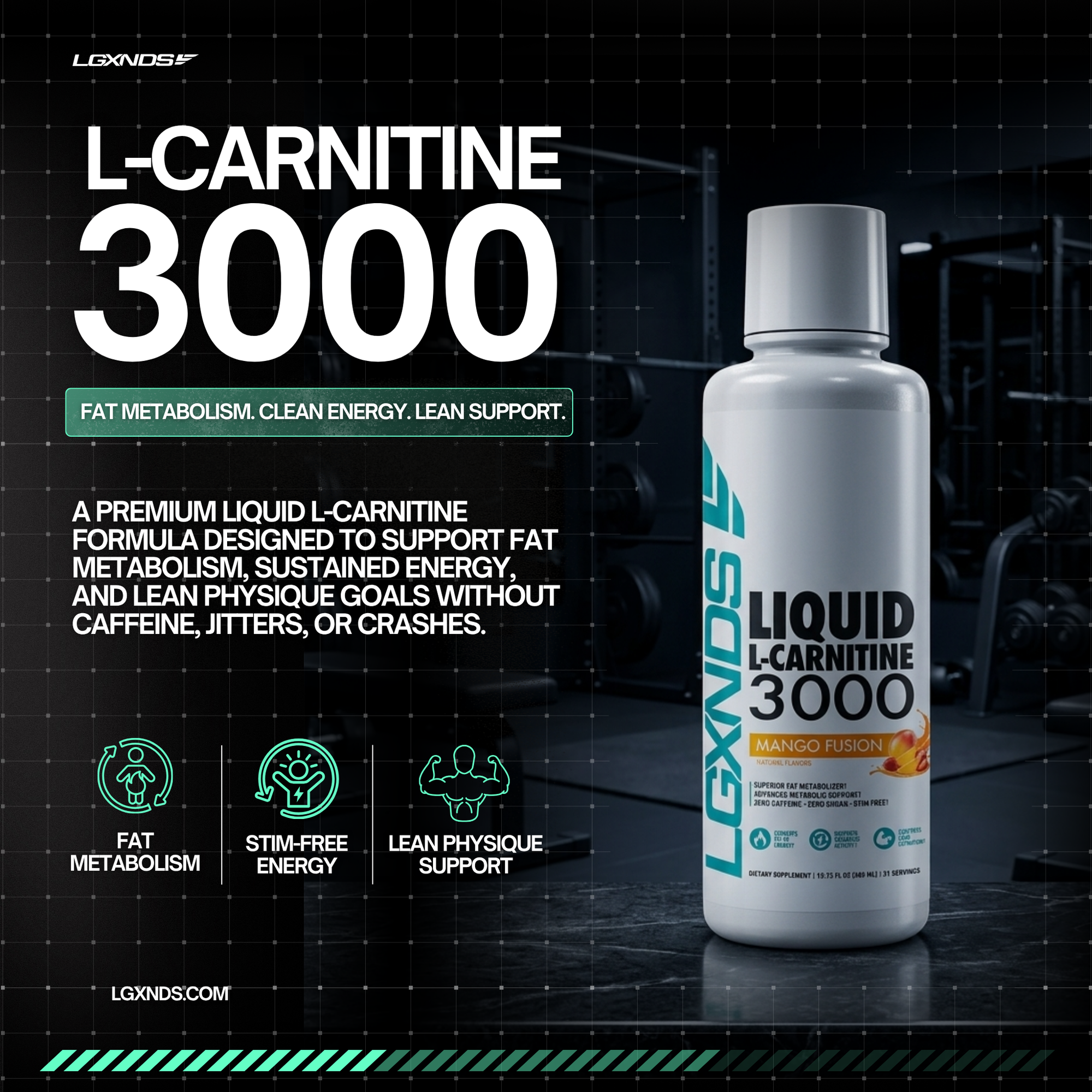 Liquid L-Carnitine 3000