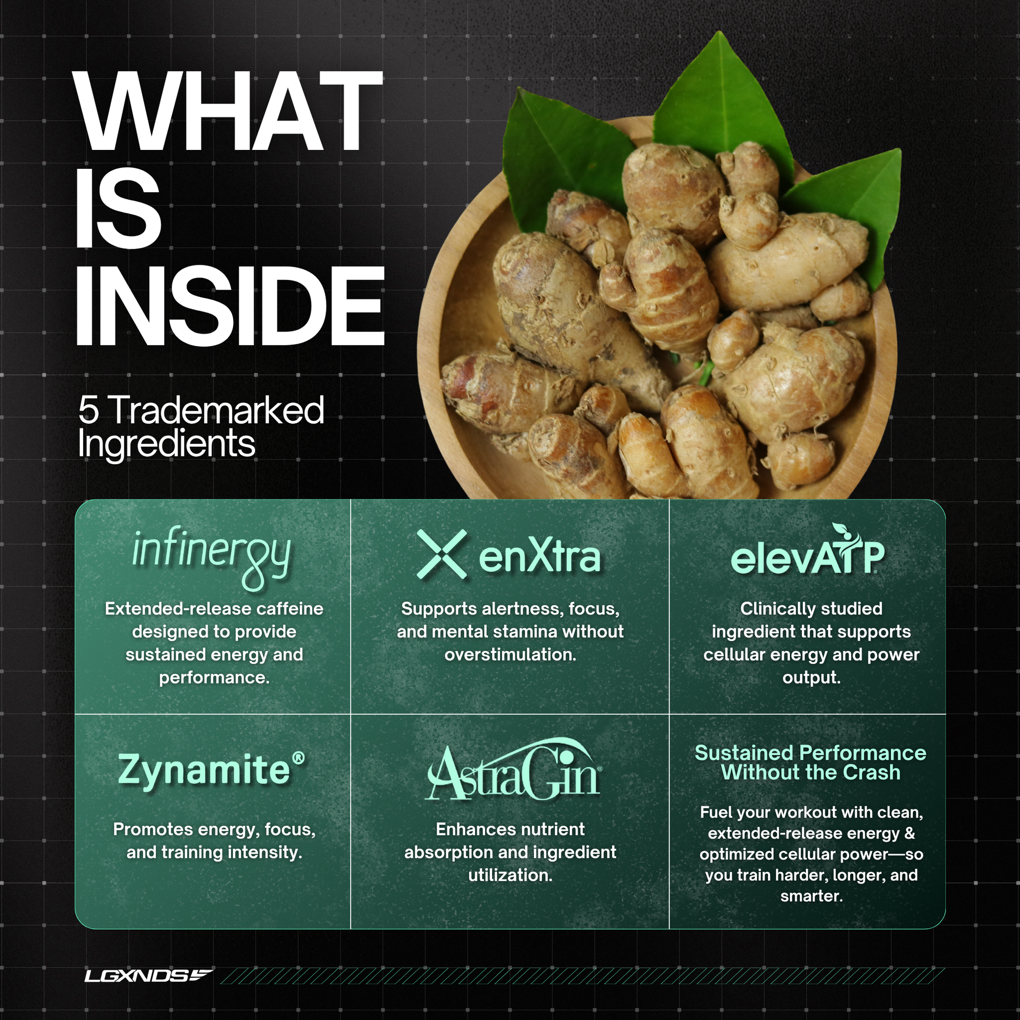 Decipher Preworkout