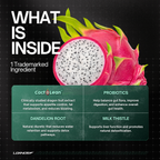 Dragon fruit extract and probiotics for gut health and metabolism support