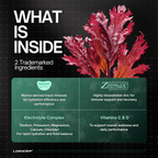 Premium supplement ingredients: Aquamin, Zinmax, electrolytes, and Vitamins C & D for performance and recovery