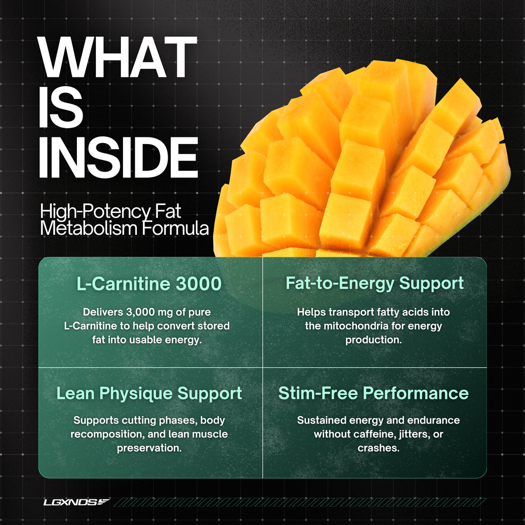 Liquid L-Carnitine 3000