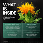 Safflower flower with benefits of conjugated linoleic acid for fat metabolism and muscle support