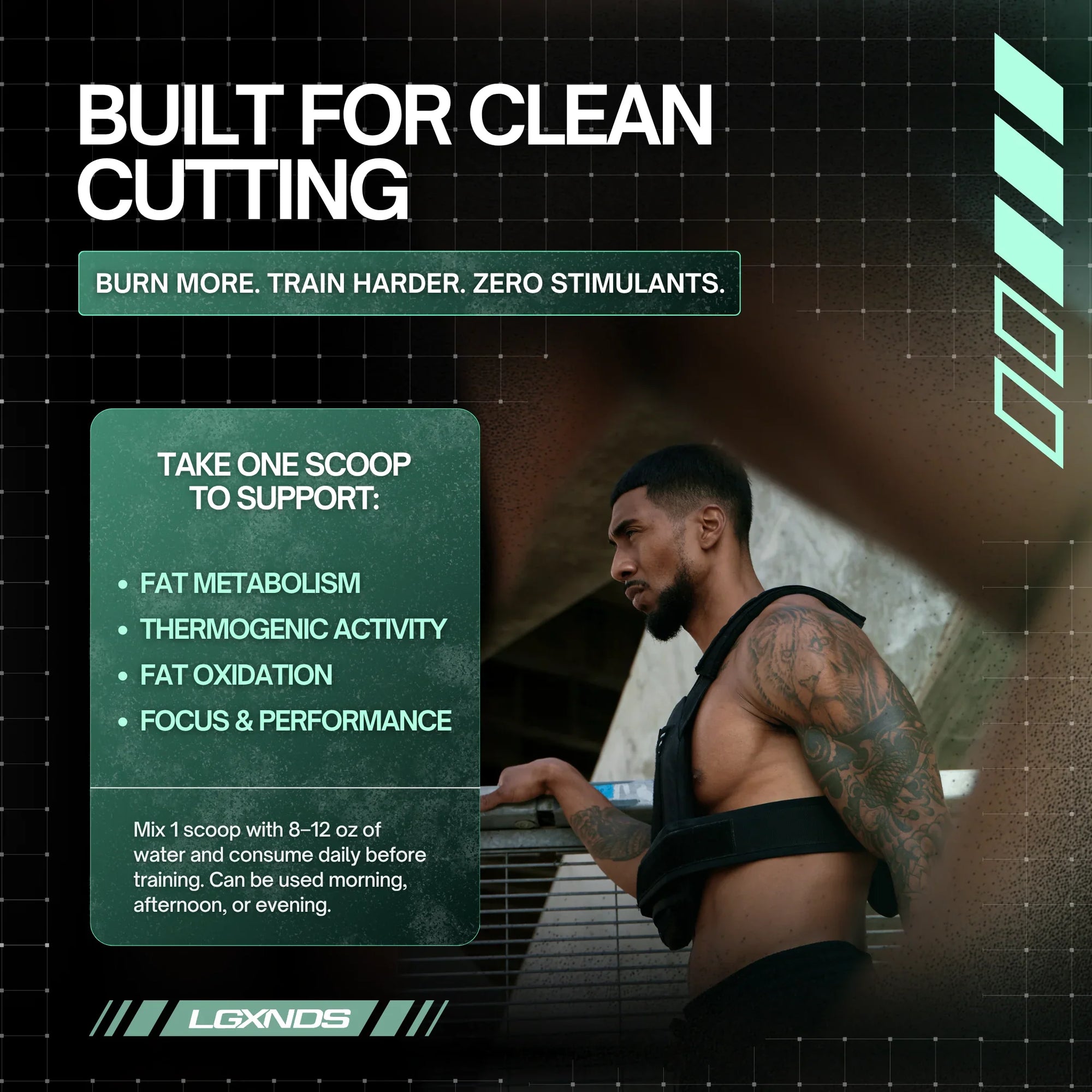 Stim Free Fat Burner