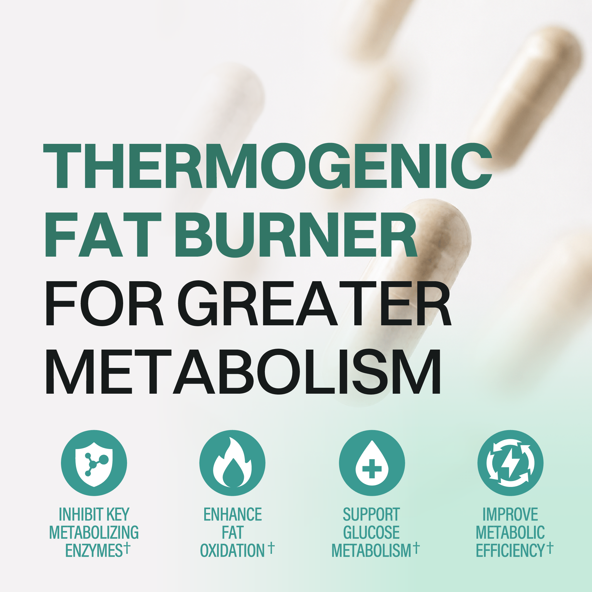 Caloric Burn X