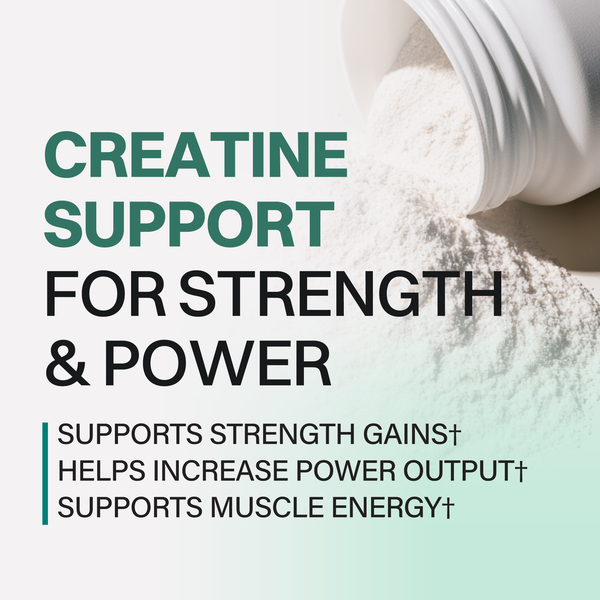 Creatine Monohydrate - 30 Servings