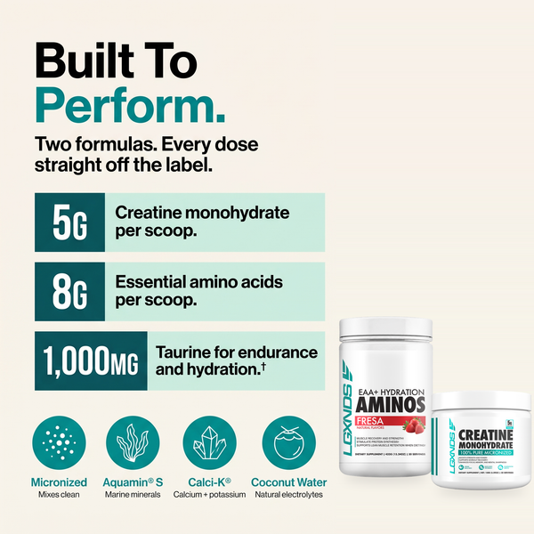 Creatine + Aminos Bundle
