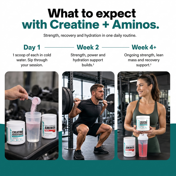 Creatine + Aminos Bundle