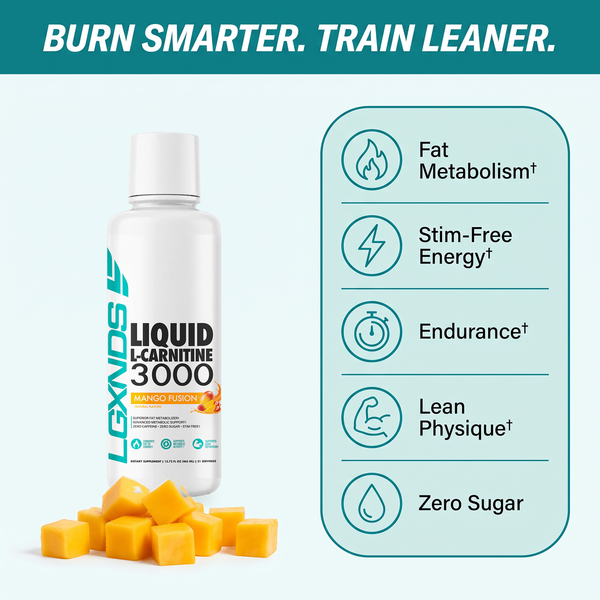 Liquid L-Carnitine 3000