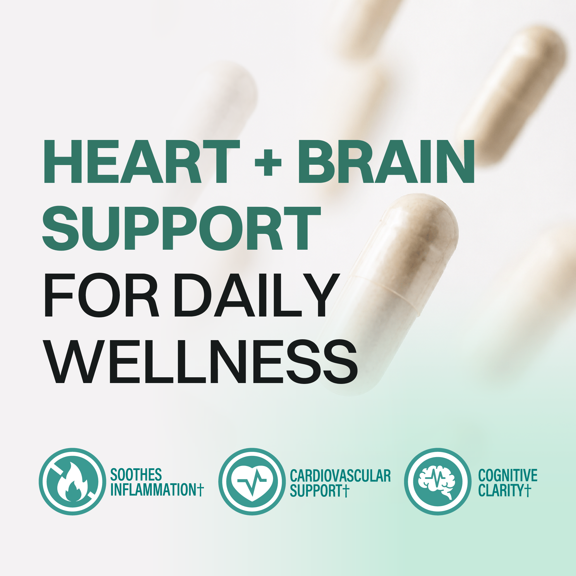 Omega 3 Fish Oil