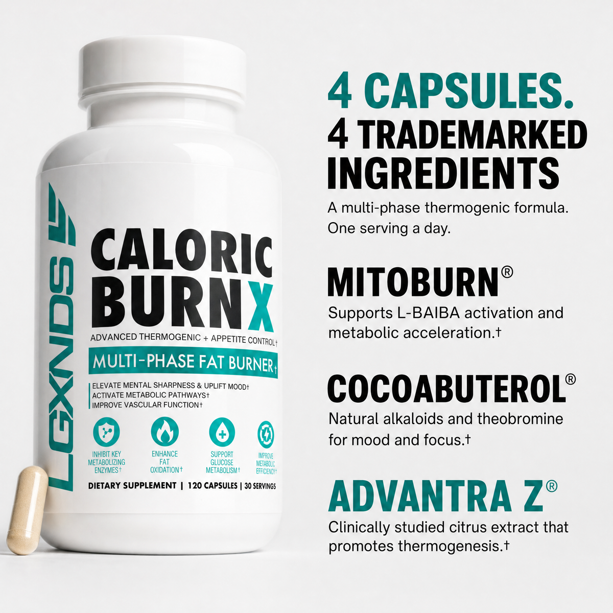 Caloric Burn X