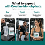 Creatine Monohydrate - 30 Servings