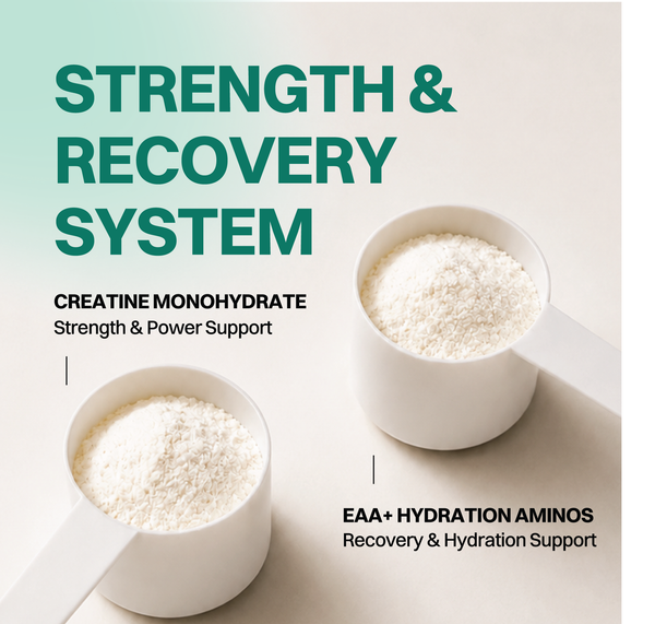 Creatine + Aminos Bundle