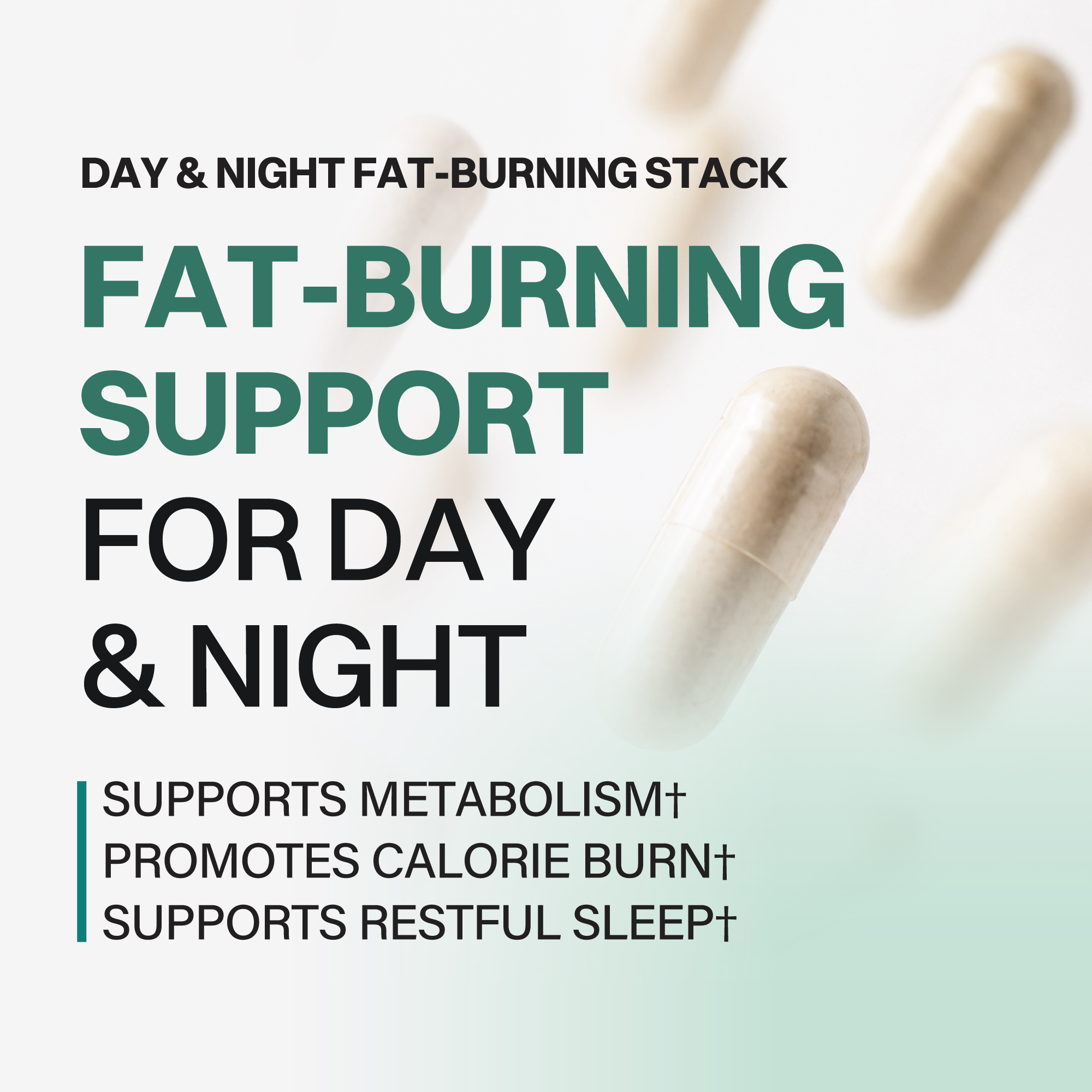 Day & Night Burn Pack