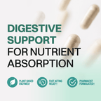 Digestive Enzymes