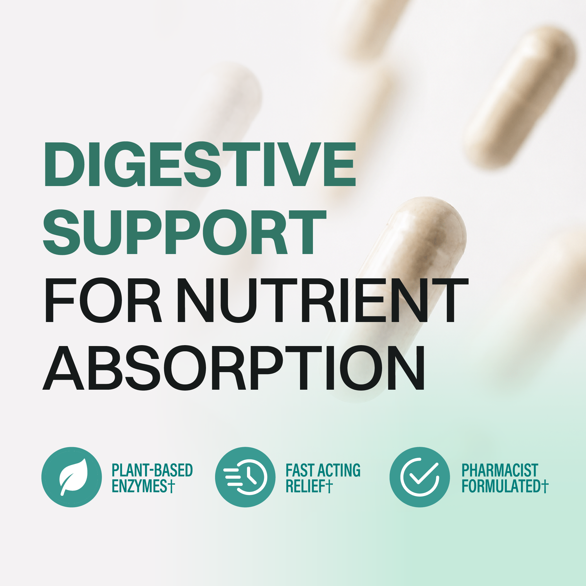 Digestive Enzymes