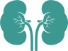 Kidney Function
