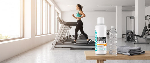 liquid l carnitine matrix fat metabolism