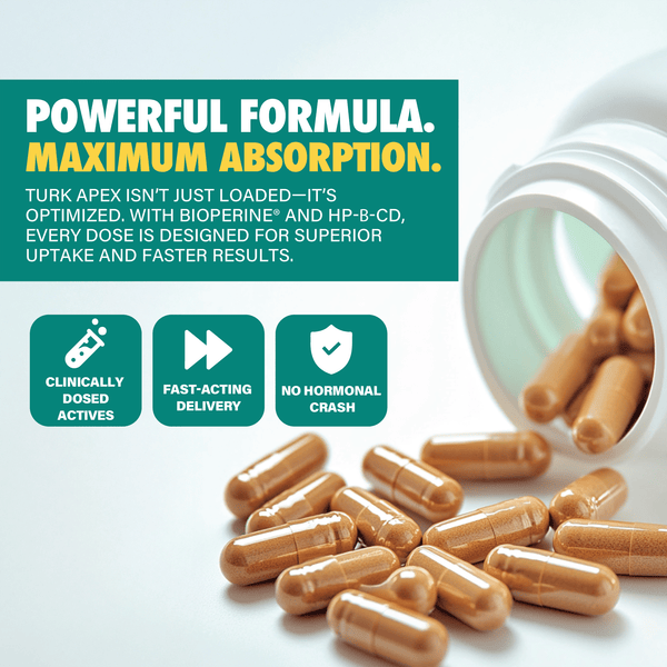 Turk Apex