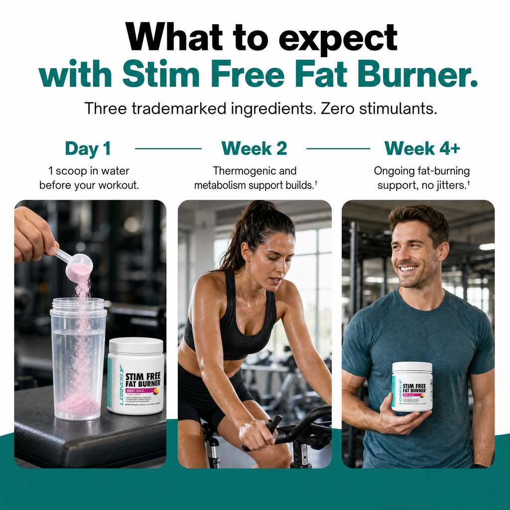 Stim Free Fat Burner