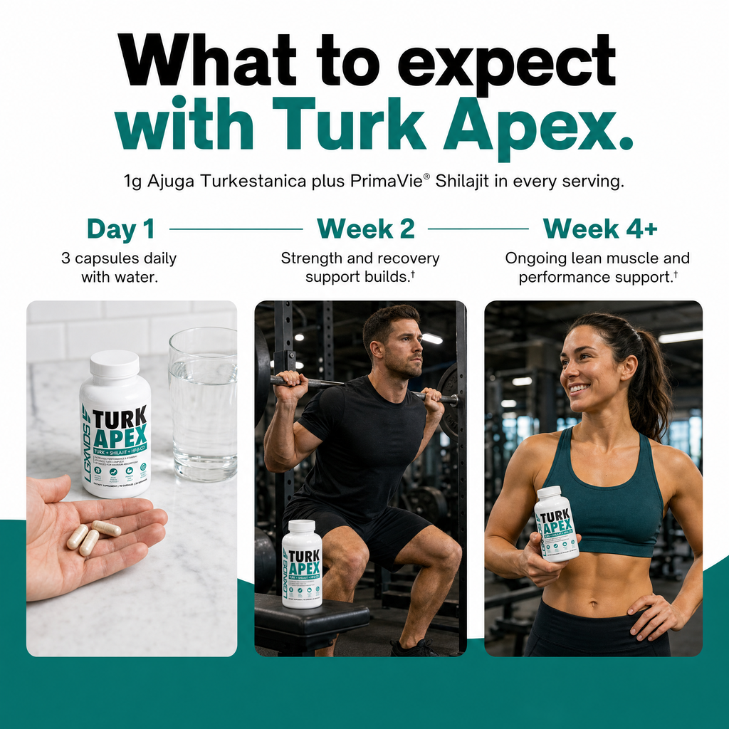 Turk Apex