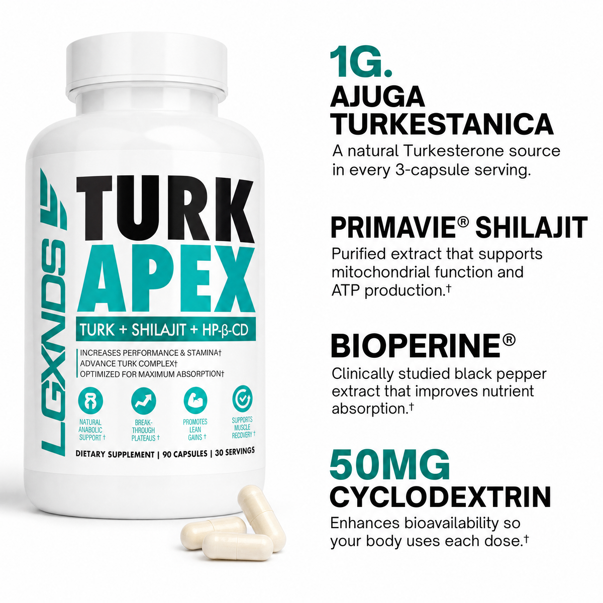Turk Apex